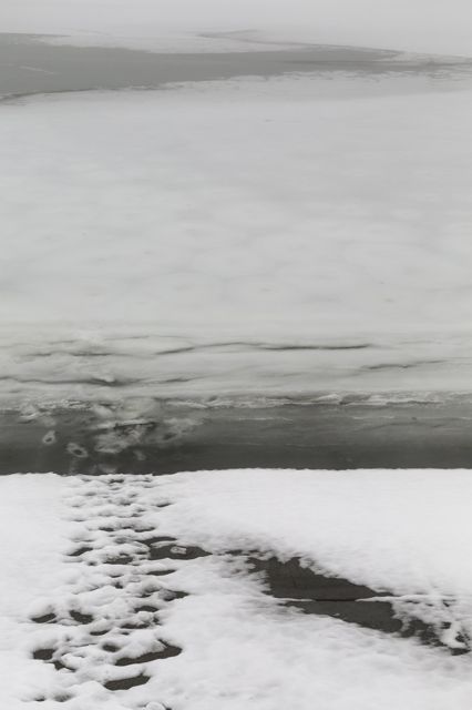10_Sieranevada_DL0A7998