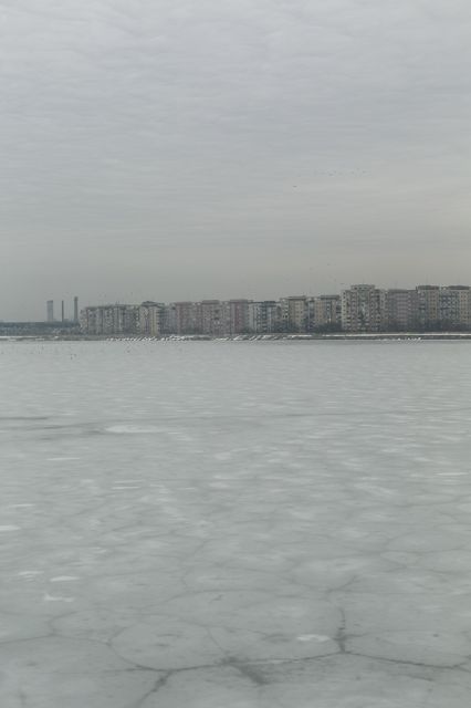 2_Sieranevada_DL0A1605