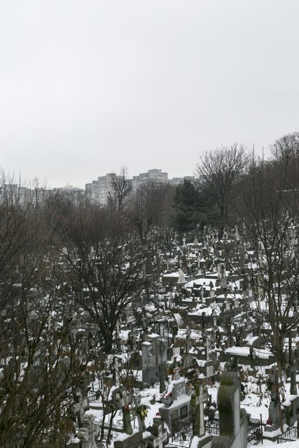 Sieranevada_DL0A0761