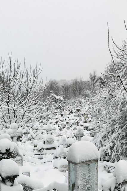 Sieranevada_DL0A3687