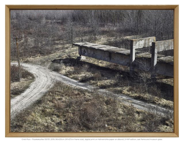 CristiPuiu_Fozakakozfea_at_baril__13