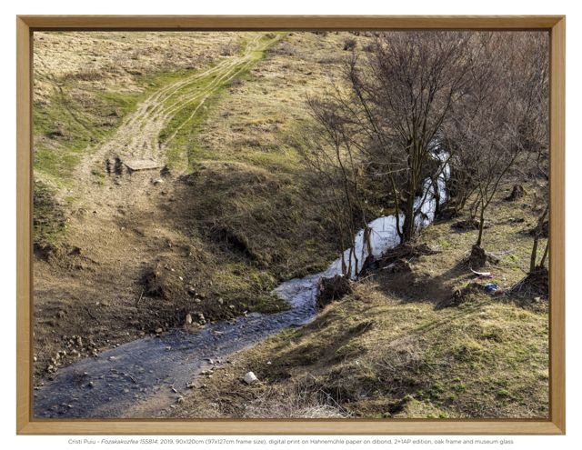 CristiPuiu_Fozakakozfea_at_baril__6